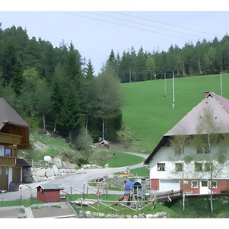 Hinterhauensteinhof Villa Hornberg Bagian luar foto
