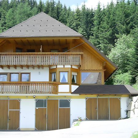 Hinterhauensteinhof Villa Hornberg Bagian luar foto
