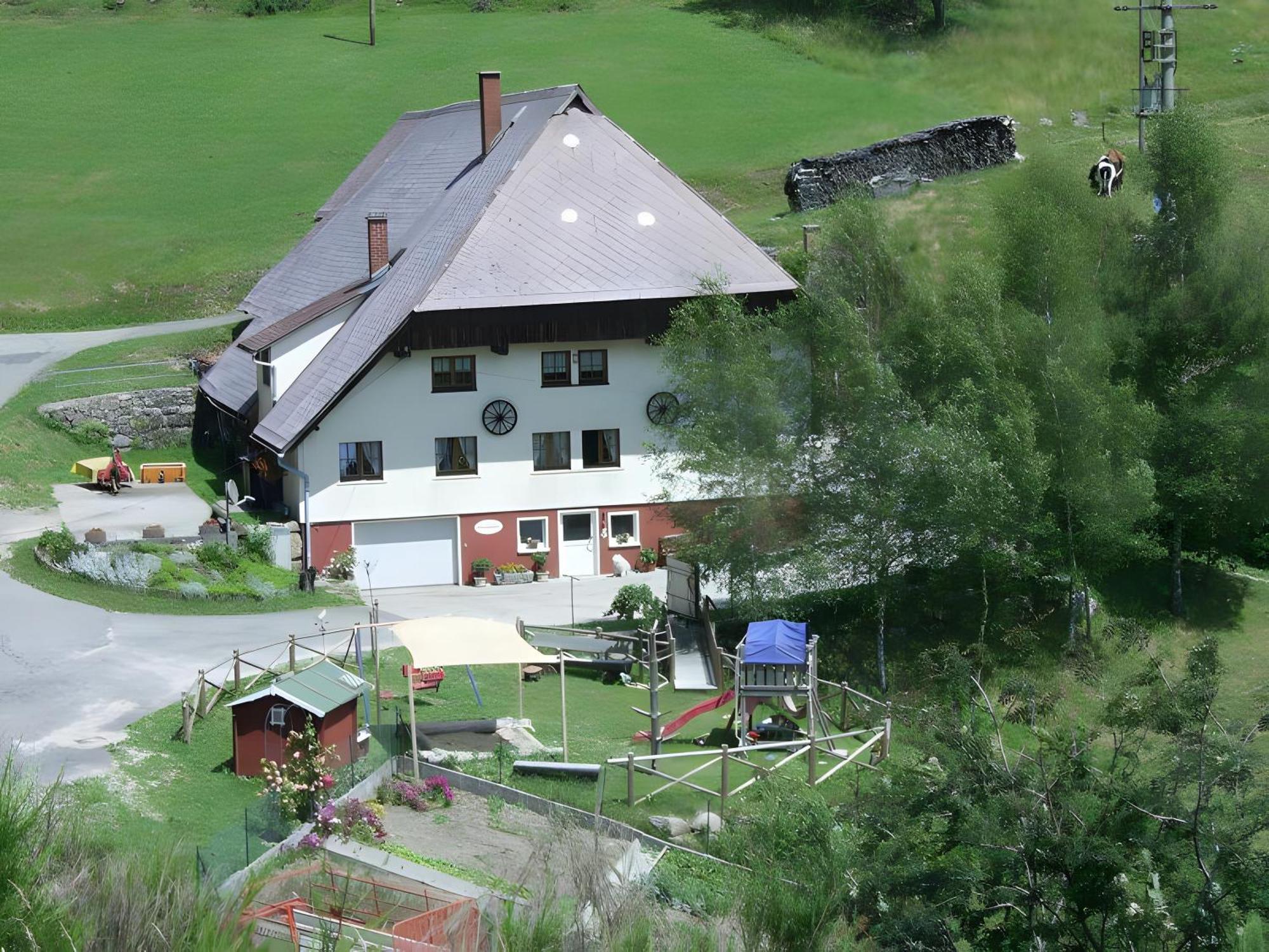 Hinterhauensteinhof Villa Hornberg Bagian luar foto