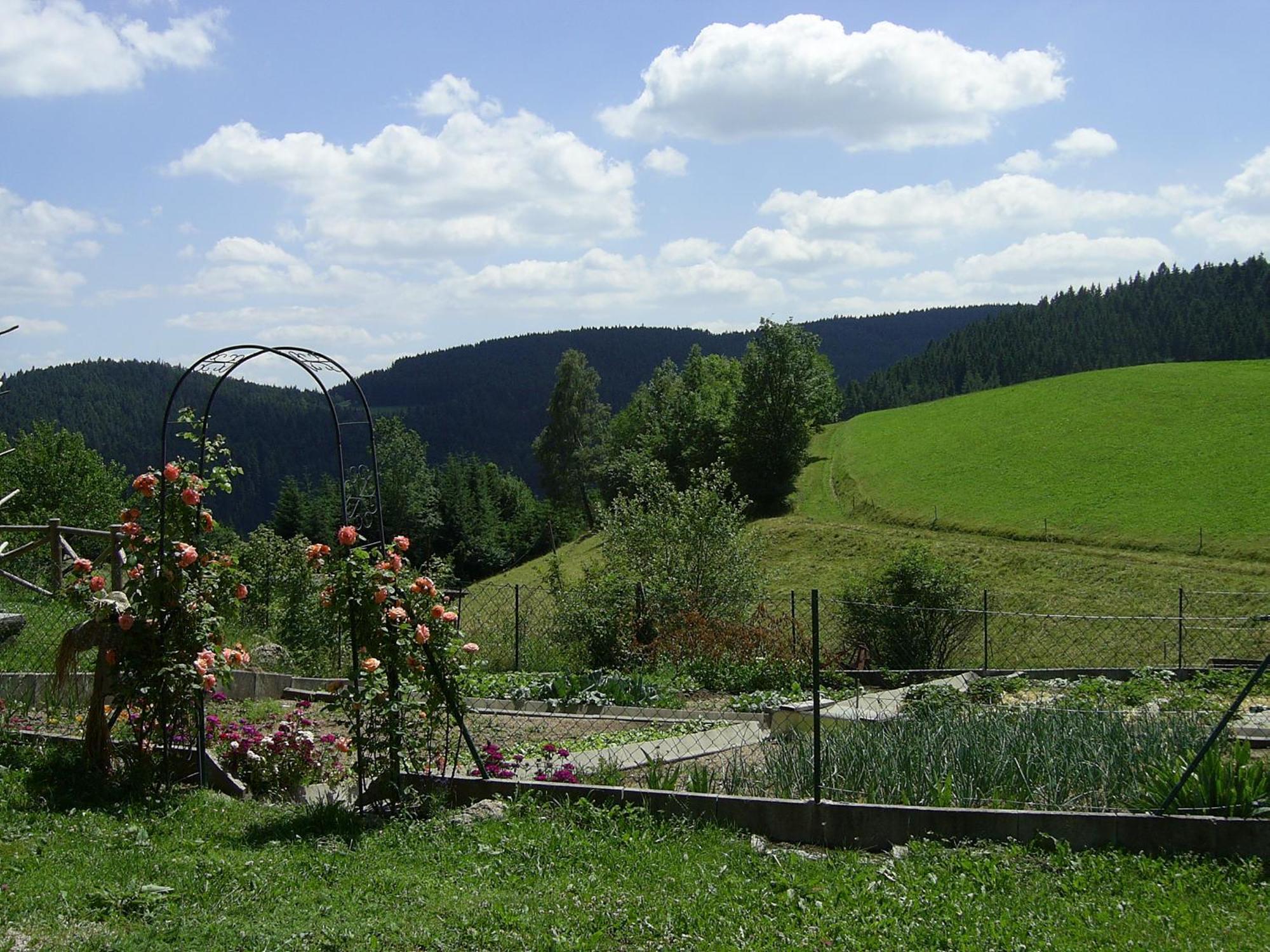 Hinterhauensteinhof Villa Hornberg Bagian luar foto