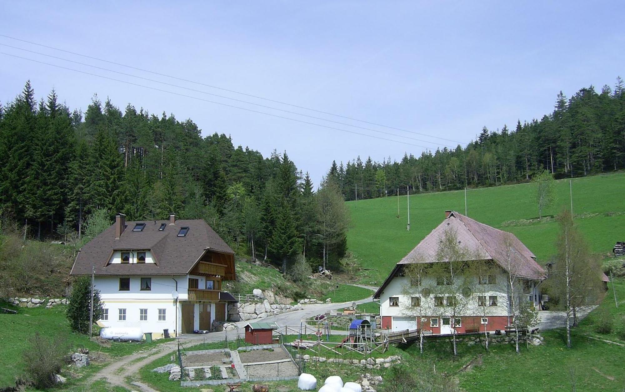Hinterhauensteinhof Villa Hornberg Bagian luar foto